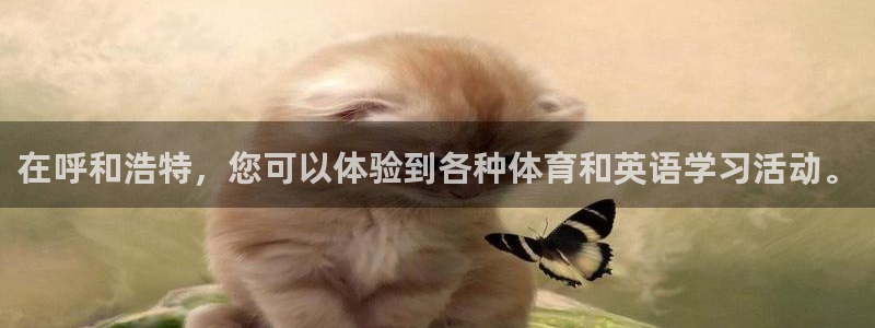 77体育app下载官网：在呼和浩特，您可以体验到各种体育和英语学习活动。