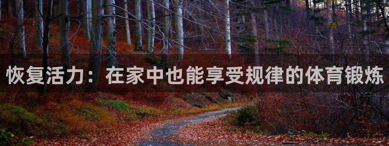 77体育官网：恢复活力：在家中也能享受规律的体育锻炼