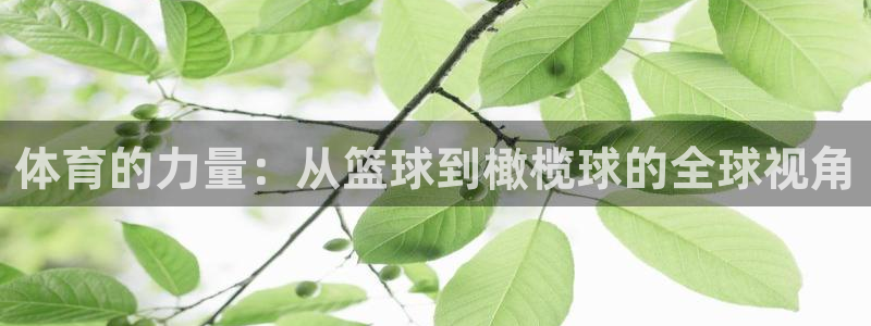 皇冠277体育：体育的力量：从篮球到橄榄球的全球视角