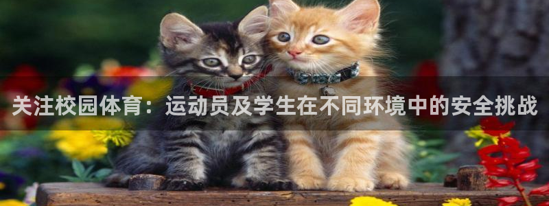 77体育app下载官网：关注校园体育：运动员及学生在不同环境中的安全挑战