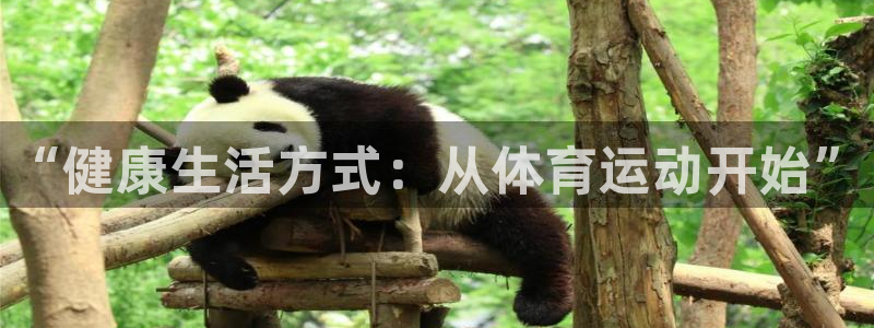 77体育app下载官网：“健康生活方式：从体育运动开始”