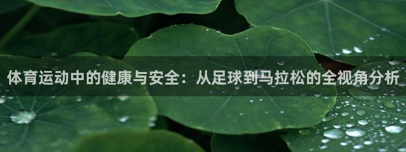 77体育官网：体育运动中的健康与安全：从足球到马拉松的全视角分析