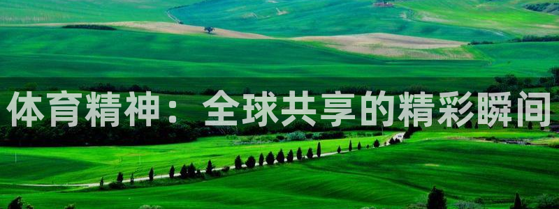 77体育官网：体育精神：全球共享的精彩瞬间