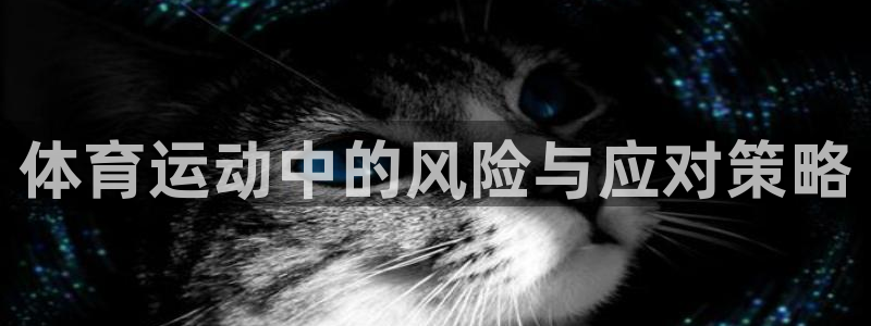 77体育app下载官网：体育运动中的风险与应对策略