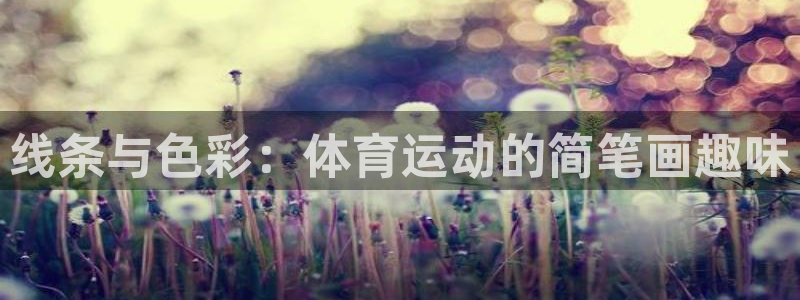 77体育app下载官网：线条与色彩：体育运动的简笔画趣味