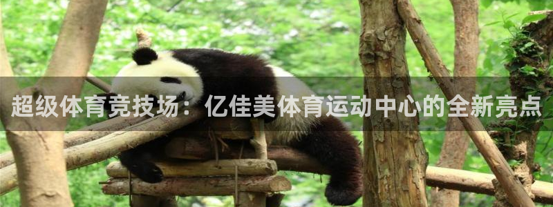 77体育：超级体育竞技场：亿佳美体育运动中心的全新亮点