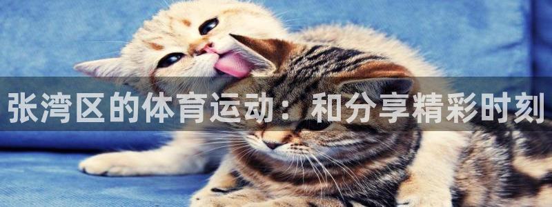 77体育app下载官网：张湾区的体育运动：和分享精彩时刻