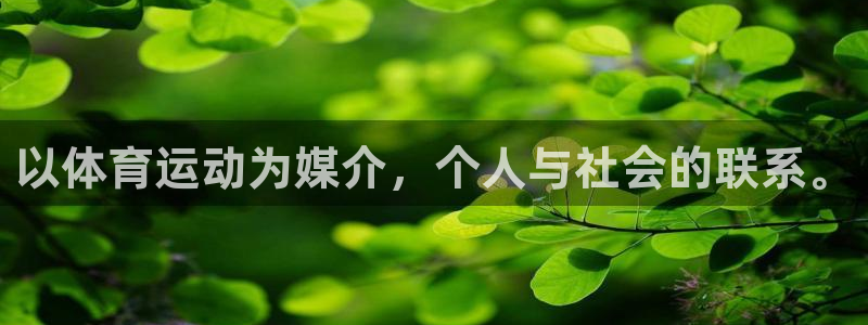 皇冠277体育：以体育运动为媒介，个人与社会的联系。