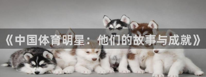 77体育app下载官网：《中国体育明星：他们的故事与成就》